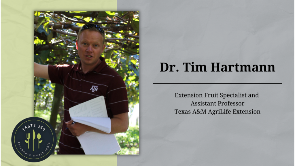 headshot of Dr. Tim Hartmann, extension fruit specialist and assistant professor for Texas AgriLife Extension Service